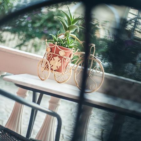 Zante Nest Studios & Apartments 알리카나스 외부 사진