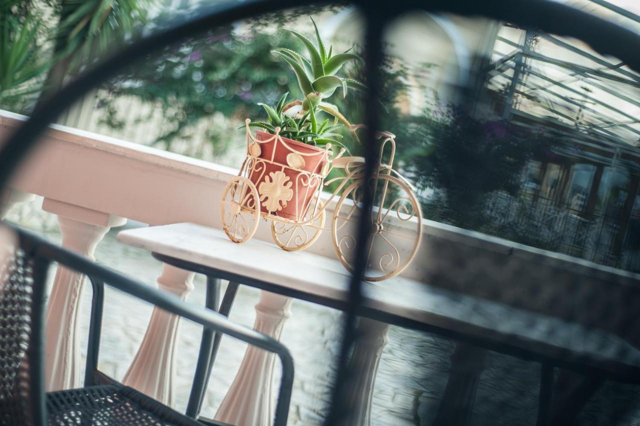 Zante Nest Studios & Apartments 알리카나스 외부 사진